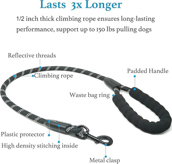 Tangle-Free Dog Leash Duo