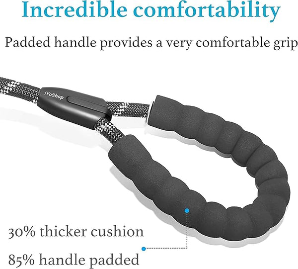 Tangle-Free Dog Leash Duo