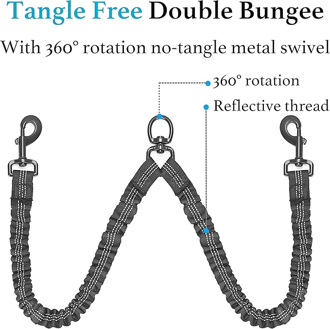 Tangle-Free Dog Leash Duo