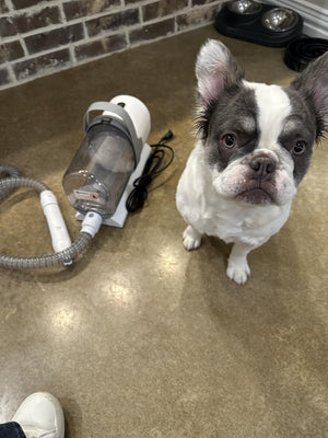 pet vacum 7.jpg