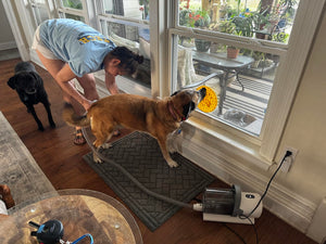 pet vacum rew 2.jpg