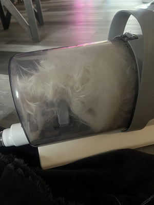 pet vacum rew 4.jpg